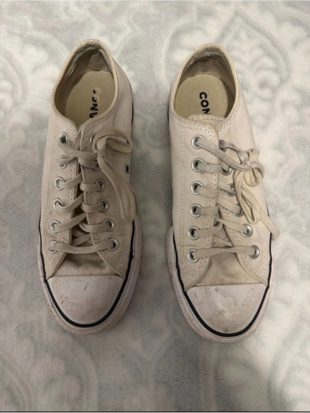 Converse Low Top Canvas Sneakers in Cream